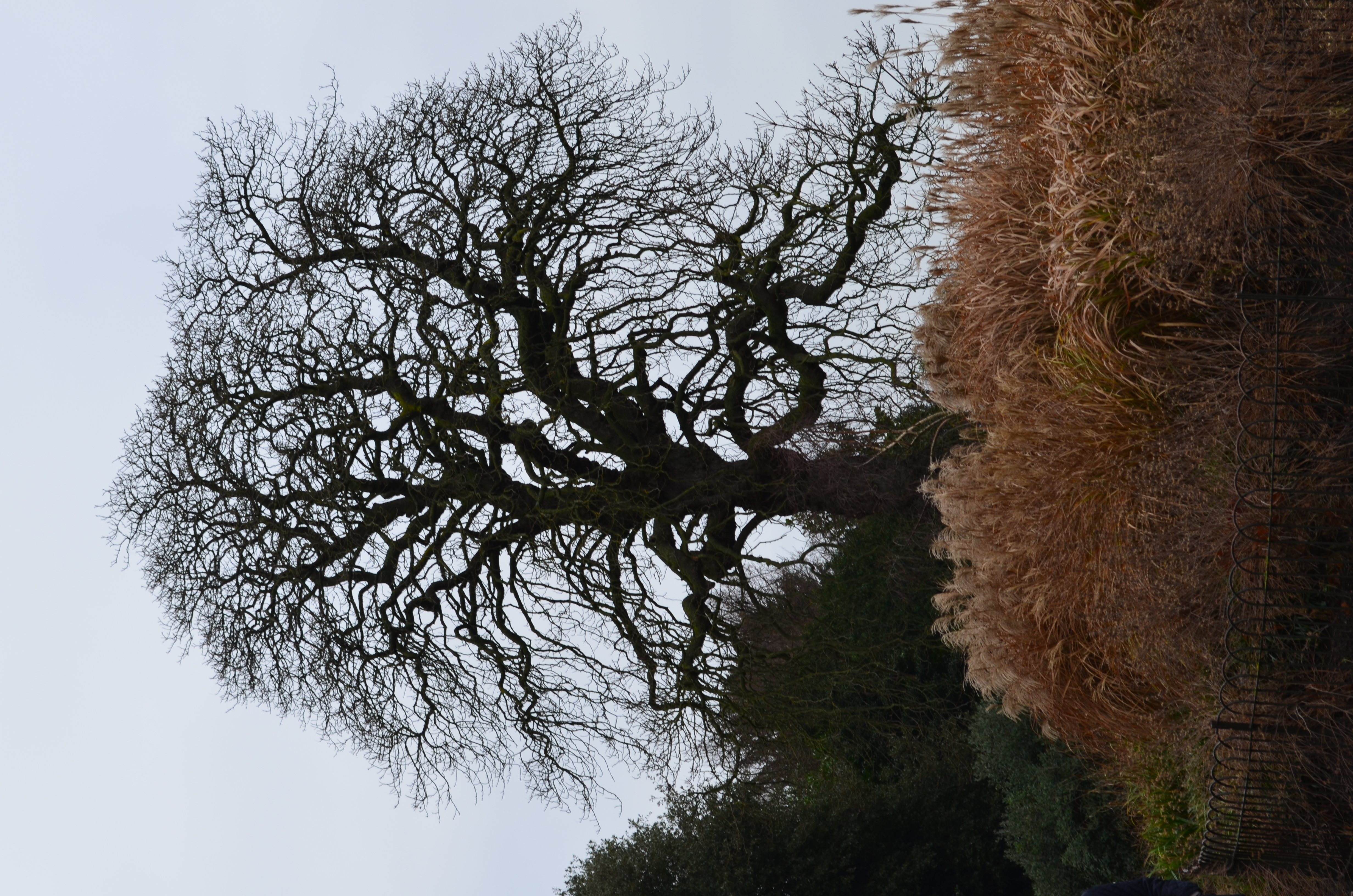 ./2018/15 - London/03 - Day 3/DSC_0321.JPG